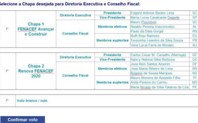 Instruções para votação